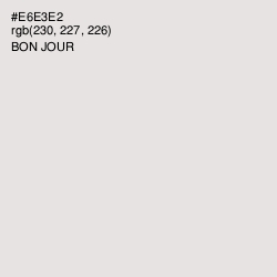 #E6E3E2 - Bon Jour Color Image